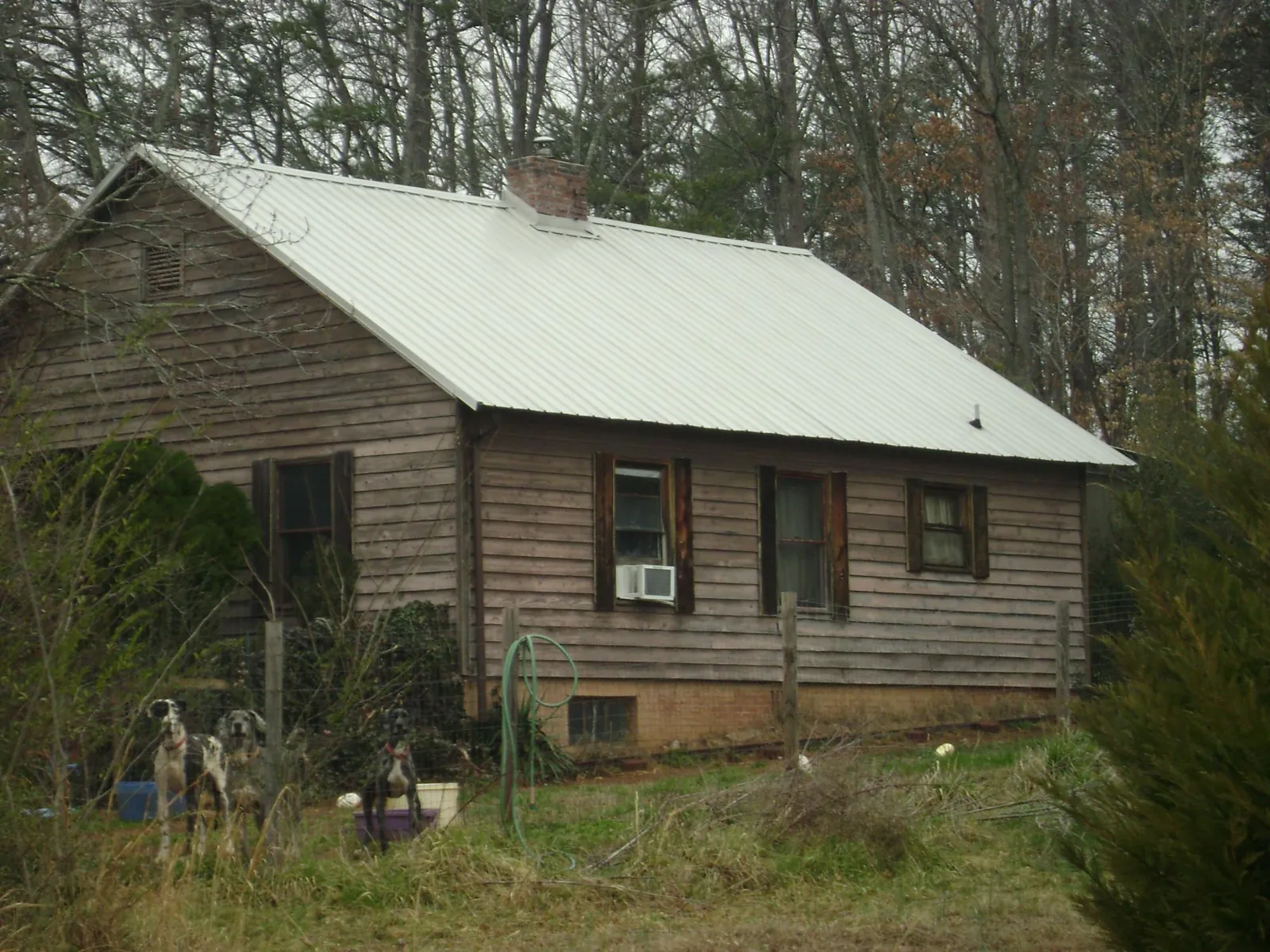 White metal roof on an old wood sided farmhouse, from a Asphalt Shingle Roof Repair job in Edgewater